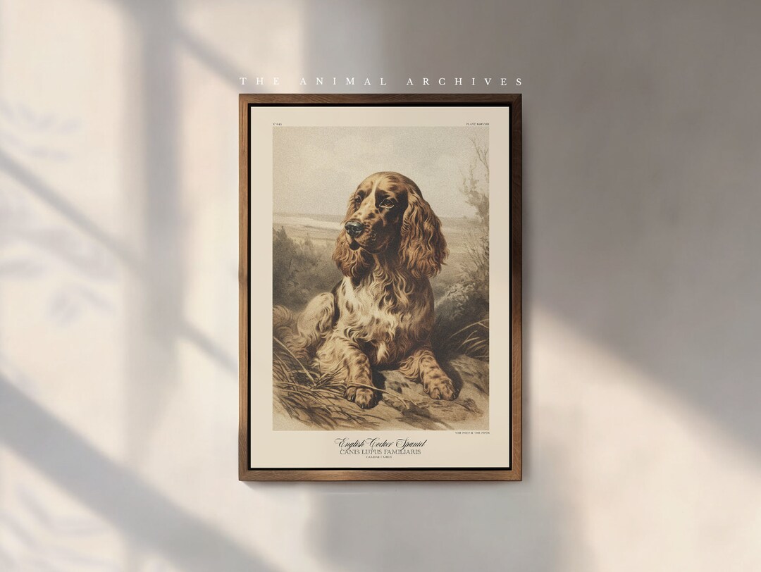 Cocker Spaniel Art Print: Vintage Style Dog Portrait on Hahnemühle ...