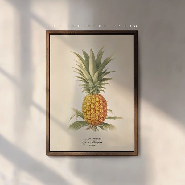 The Queen Ananas - Kunst Poster | Naturforscher | Wandkunst | Dekor | Antiker viktorianischer Stil | Gartenleben | Obst | Stillleben | Historisches
