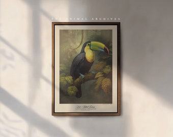 The Keel-Billed Toucan Art Print, by The Poet and The Piper
