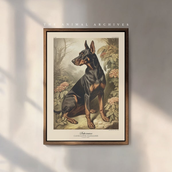 Le Dobermann - Impression d'art | Naturaliste | style vintage | Art mural | Décoration | D'inspiration victorienne antique | Propriétaires de chiens | Cadeau chien | Animal de compagnie