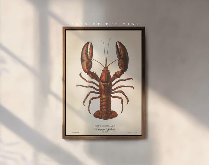 The Red Lobster Art Print, by the Poet and The Piper