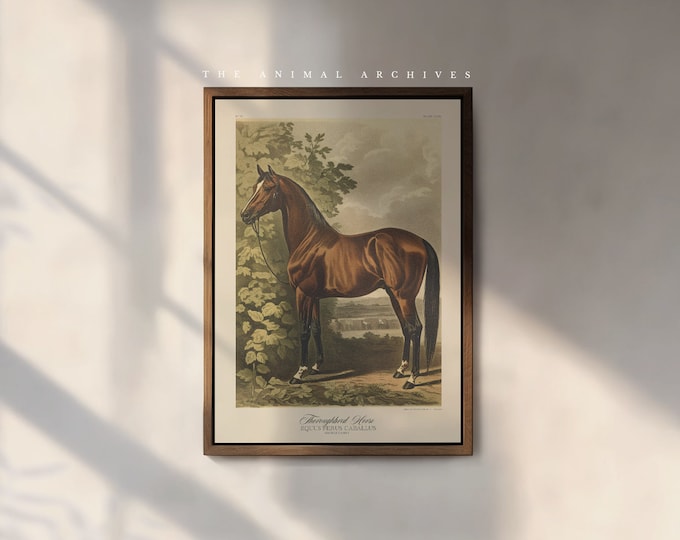 The Thoroughbred Horse Art Print, by The Poet and The Piper