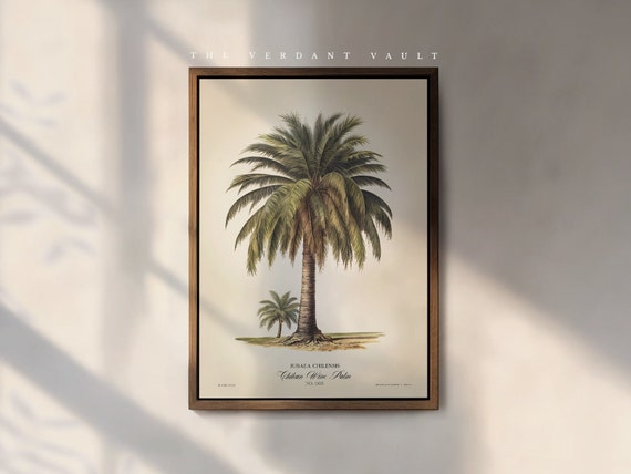The Chilean Wine Palm Art Print, by the Poet and The Piper