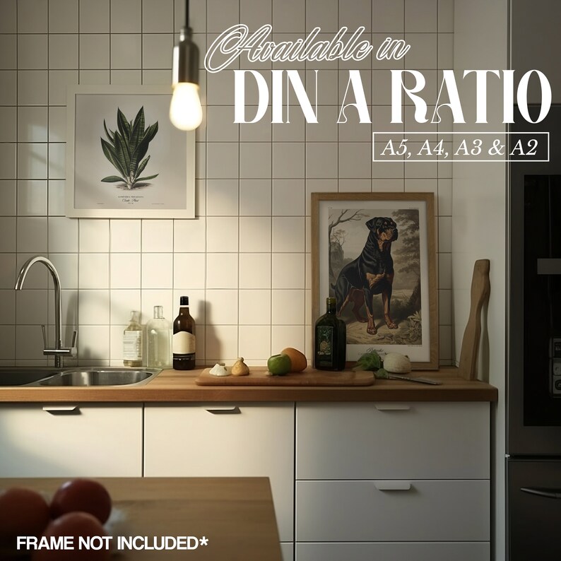 May include: A white kitchen with white cabinets and a white tiled backsplash. A framed print of a dog is hanging on the wall. The text "Available in DIN A RATIO A5, A4, A3 & A2" is written on the wall. The text "FRAME NOT INCLUDED*" is written on the counter.