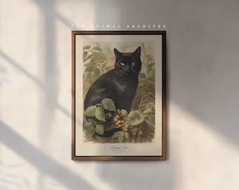 The Bombay Cat Art Print, by the Poet and The Piper