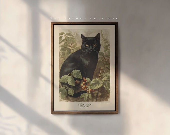 The Bombay Cat Art Print, by the Poet and The Piper