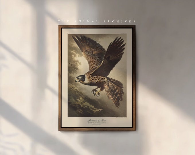 The Peregrine Falcon Art Print, by the Poet and The Piper