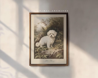 Bichon Frise Art Print, by the Poet and The Piper