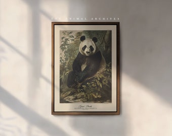 The Giant Panda Art Print, by the Poet and The Piper