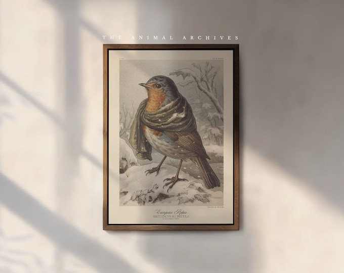 The European Robin, A Christmas Art Print, by the Poet and The Piper