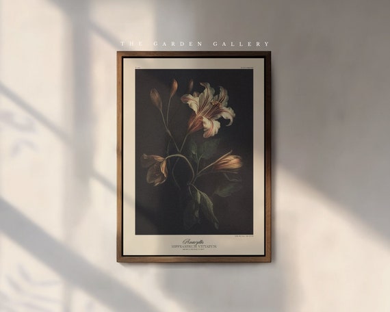 The Amaryllis Art Print, by the Poet and The Piper