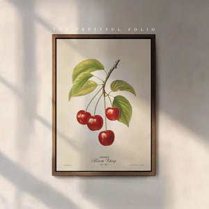 Impression d'art cerise : nature morte botanique vintage, style victorien