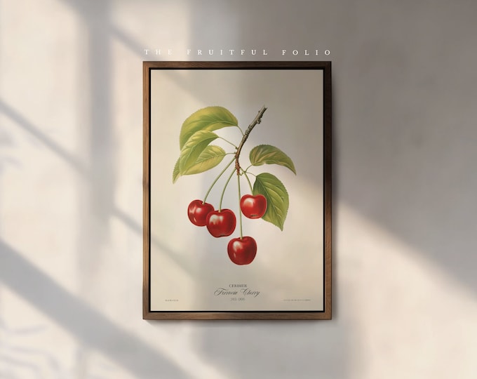 The Ferrovia Cherry Art Print, by the Poet and The Piper