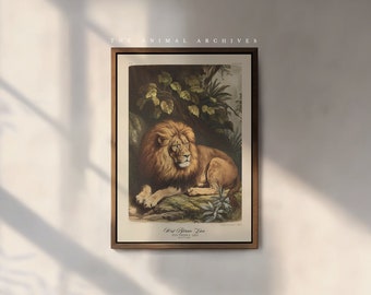 The West African Lion Art Print, by the Poet and The Piper