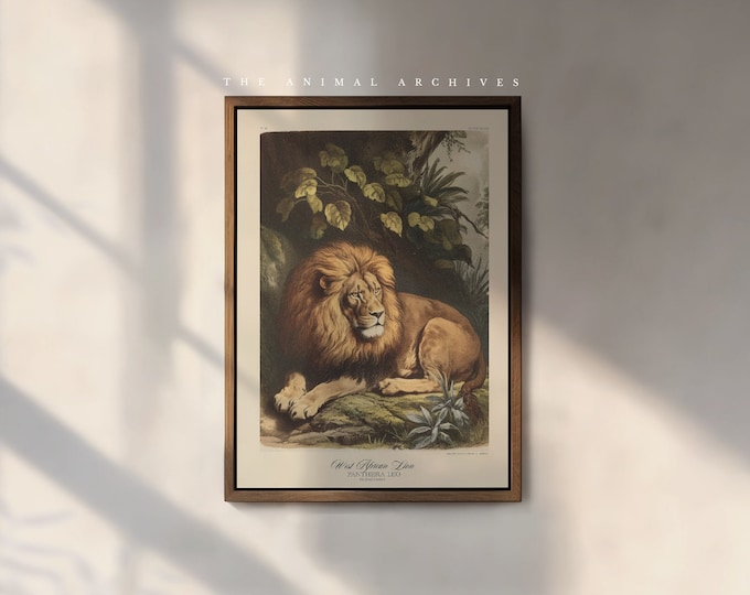 The West African Lion Art Print, by the Poet and The Piper