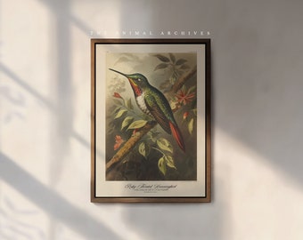 The Ruby-Throated Hummingbird Art Print, by the Poet and The Piper