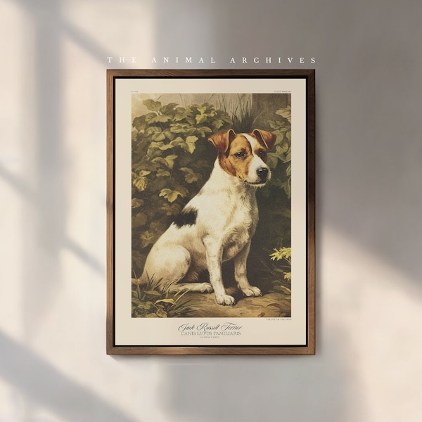Le Jack Russell Terrier - Impression d'art | Naturaliste | style vintage | Art mural | Décoration | Victorien antique | Propriétaires de chiens | Cadeau chien | Animal de compagnie
