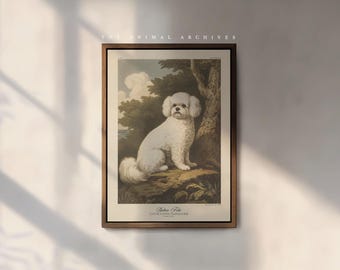 Bichon Frise Art Print, by the Poet and The Piper