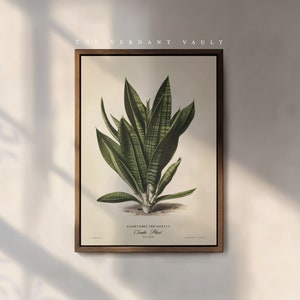 Poster mit Schlangenpflanze | Naturforscher | Wandkunst | Dekor | Antiker viktorianischer Stil | Gartenleben | Obst | Stillleben | Historisches Botanisches