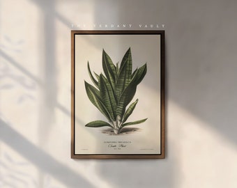 The Snake Plant Art Print, by the Poet and The Piper