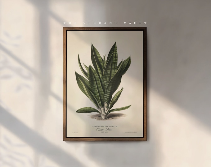 The Snake Plant Art Print, by the Poet and The Piper