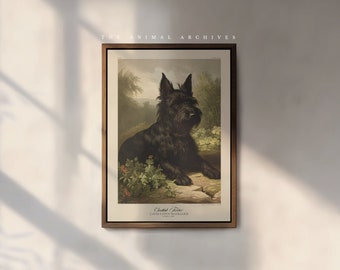 The Scottish Terrier Art Print, by the Poet and The Piper