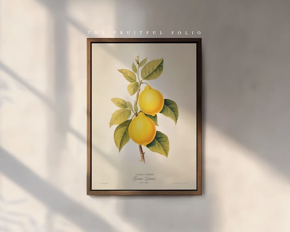 The Genoa Lemon Art Print, by the Poet and The Piper