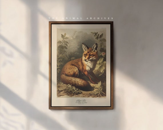 The Red Fox Art Print, by the Poet and The Piper