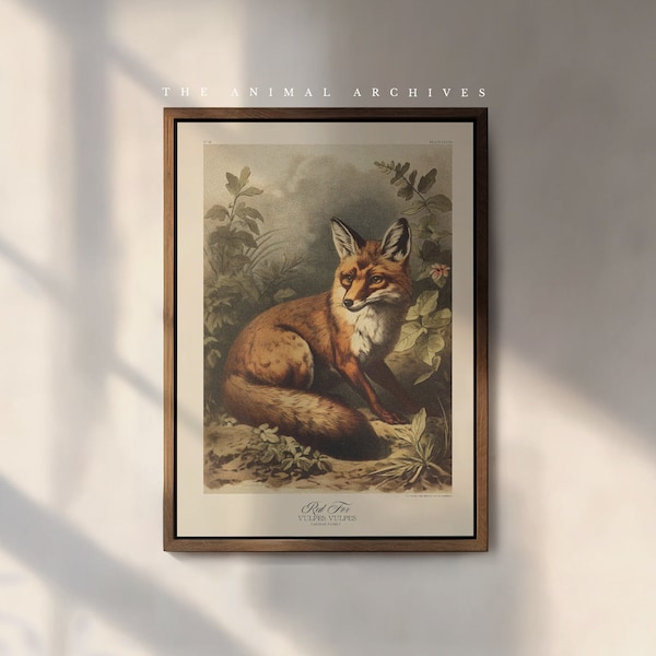 Vintage Red Fox Art Print: Victorian Naturalist Wall Decor