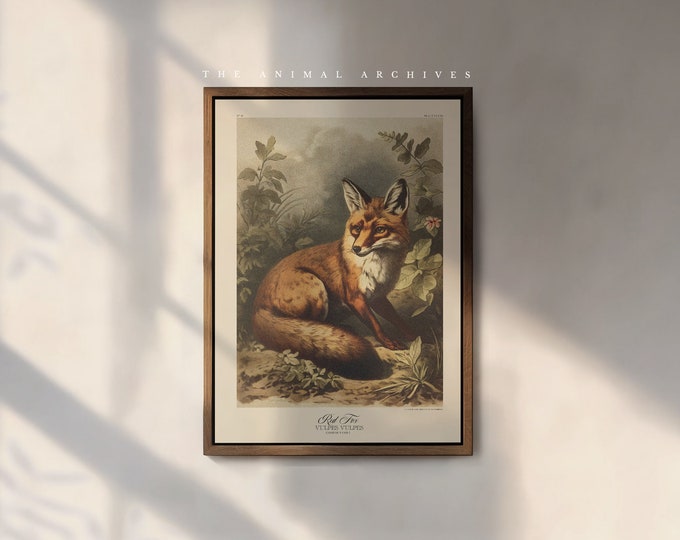The Red Fox Art Print, by the Poet and The Piper