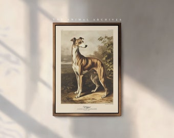 The Whippet Art Print, by the Poet and The Piper