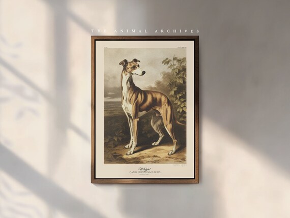 The Whippet Art Print, by the Poet and The Piper