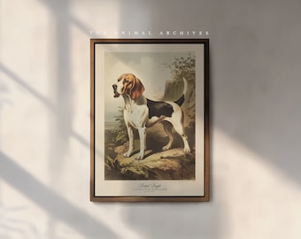 The British Beagle Art Print, by the Poet and The Piper