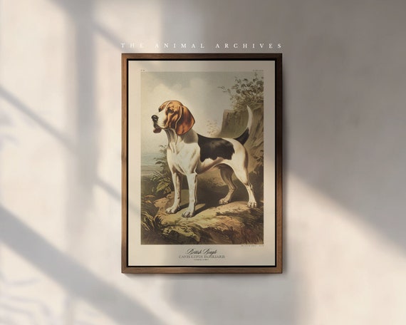 The British Beagle Art Print, by the Poet and The Piper