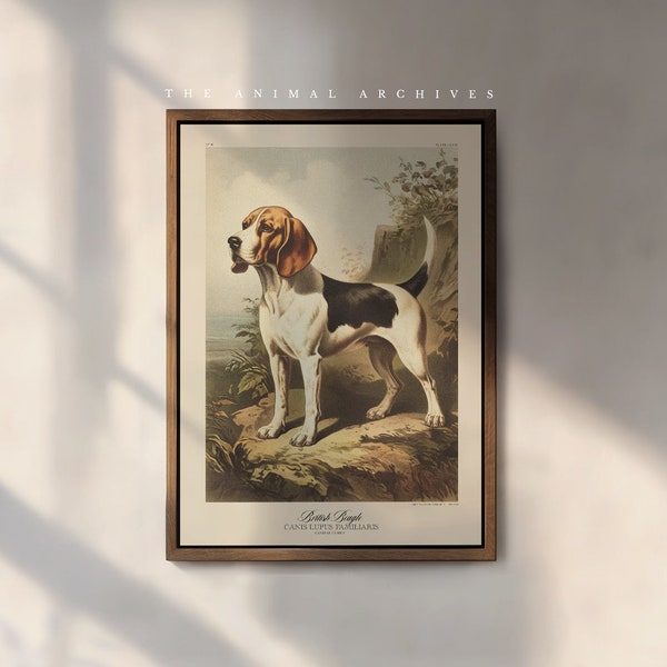 Le Beagle britannique - Impression d'art | Naturaliste | style vintage | Art mural | Décoration | D'inspiration victorienne antique | Propriétaires de chiens | Cadeau chien | Animaux de compagnie