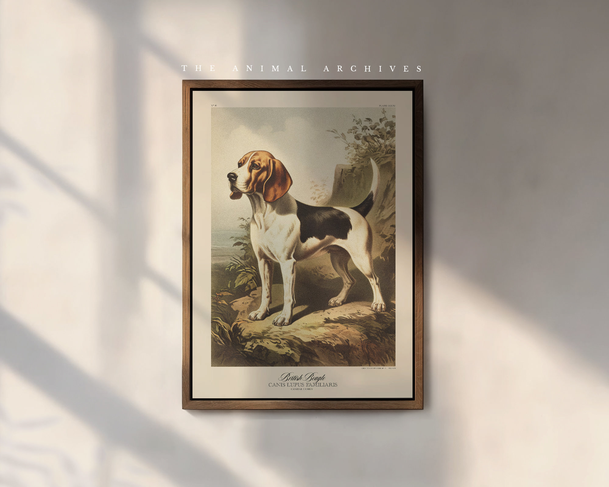 Empire Art Direct Beagle Black and White Pet Paintings on Reverse Printed  Glass Framed Dog Wall Art, 24 x 18 x 1, Ready to Hang 