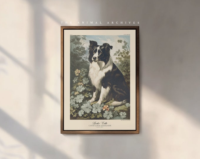 The Border Collie Art Print, by the Poet and The Piper