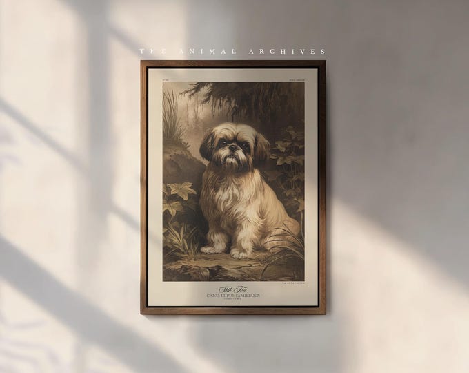 Shih Tzu Art Print, by the Poet and The Piper