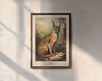 The Caracal Art Print, by the Poet and The Piper