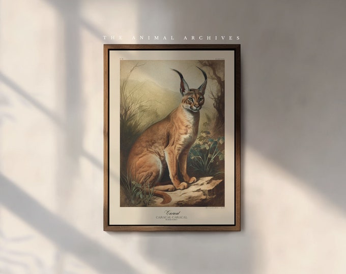 The Caracal Art Print, by the Poet and The Piper