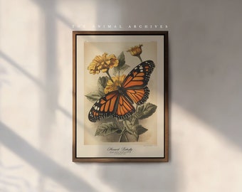 The Monarch Butterfly Art Print, by the Poet and The Piper