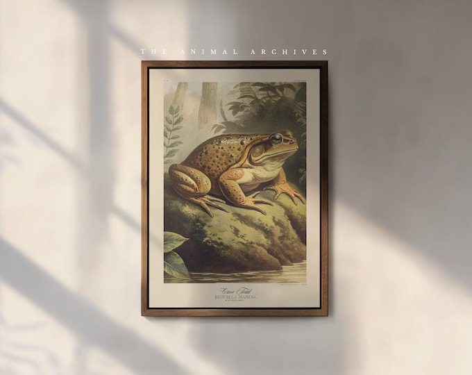 The Cane Toad Art Print, by the Poet and The Piper