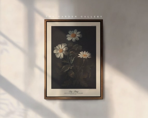The Dog Daisy Art Print, by the Poet and The Piper