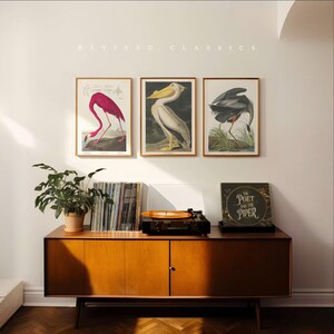 Set di stampe artistiche vintage Audubon Bird: airone azzurro, pellicano bianco americano e fenicottero, decorazione da parete, illustrazioni classiche di fauna selvatica, Cafe Trio