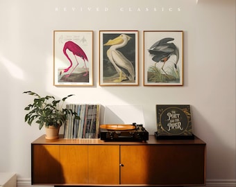 Vintage Audubon Bird Art Print Set – Great Blue Heron, American White Pelican & Flamingo, reprint