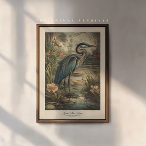 Impresión artística de garza azul grande / Estilo naturalista vintage del siglo XIX / Arte mural / Decoración / Rústico / Antiguo / Aves de América / Póster de aves botánicas