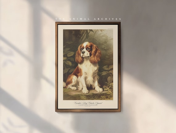 The King Charles Cavalier Spaniel Art Print, by the Poet and The Piper
