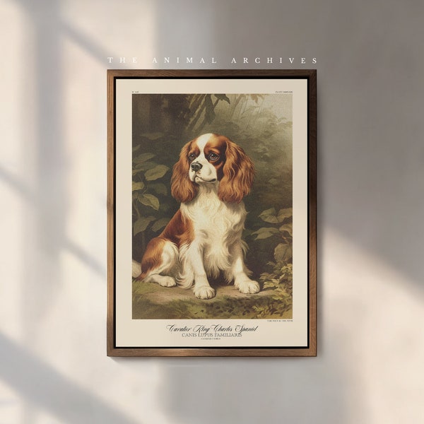 Le King Charles Cavalier Spaniel - Impression d'art | Naturaliste | style vintage | Art mural | Victorien antique | Propriétaires de chiens | Cadeau chien | Animaux de compagnie