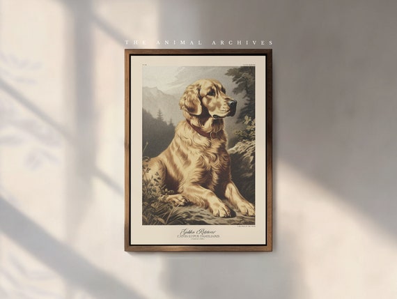 The Golden Retriever Art Print, by The Poet and The Piper