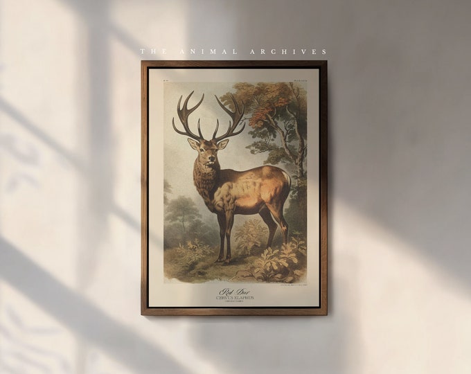 The Red Deer Art Print, by the Poet and The Piper